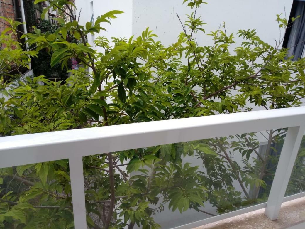 Juliel Apartamento